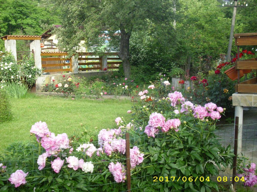 Villa Ribarica Exterior foto